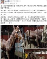 [圖]